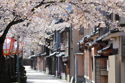 樱花东山茶馆，日本金泽老屋
