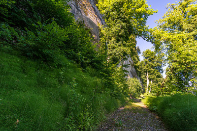 Premium hiking trail Seegang on Lake Constance