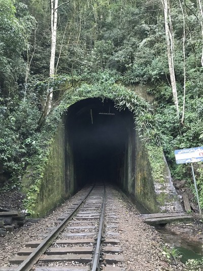 绿色通道