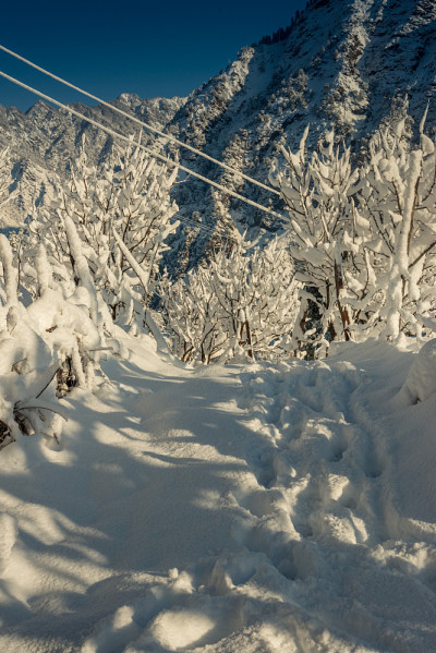 雪山覆盖的道路-雄伟的冬季景观在喜马拉雅山