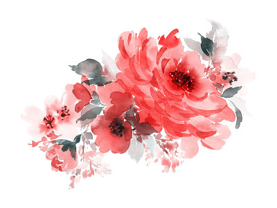 鲜花水彩插图