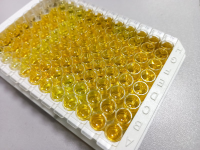酶联免疫吸附试验(ELISA)板