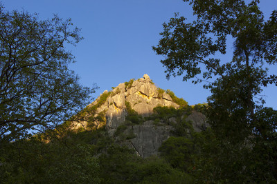 山