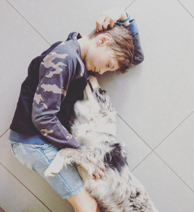 十几岁的男孩抱着一只蓝色山鸟色边境牧羊犬