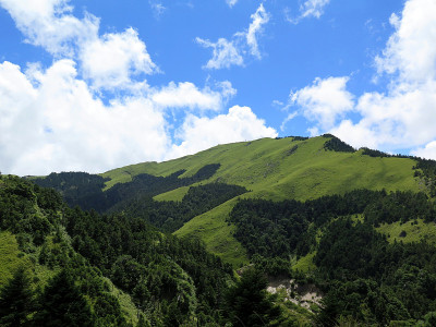 山