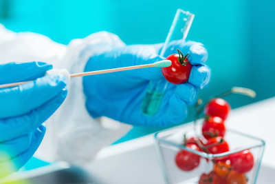 生物学家分析樱桃番茄中的农药