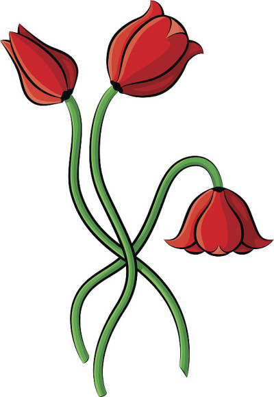 卡通郁金香花