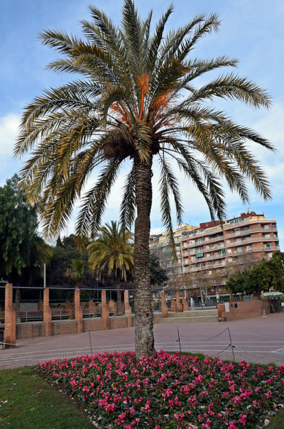 La pe公共公园