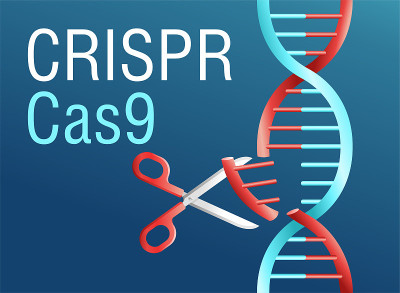 Crispr cas9 -基因工程研究