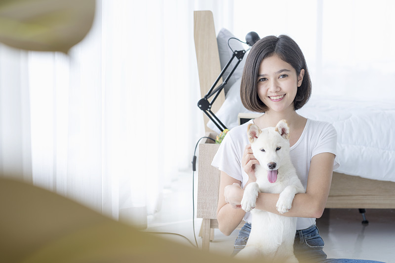 一位年轻的亚洲妇女在她的卧室里抱着一只白色柴犬。女孩和北海道犬。