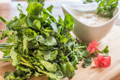 豆瓣菜开胃菜