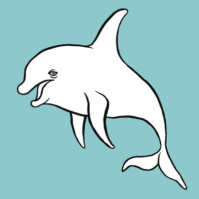 海豚