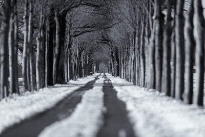 旧黑白照片的轮胎印在下雪的乡村道路。
