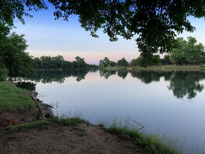 绿树成荫的湖畔美景