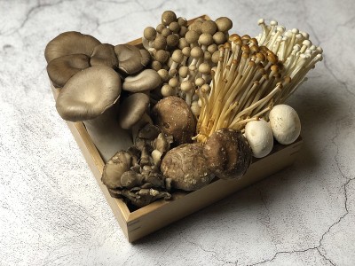 很多种蘑菇什锦