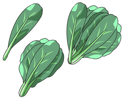 Komatsuna