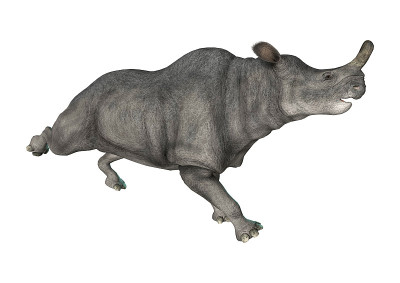 3D渲染Brontotherium在白色