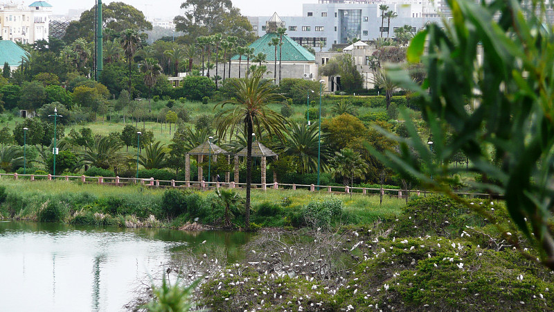 JARDIN - LAC FIRDAWS MAROC -卡萨布兰卡