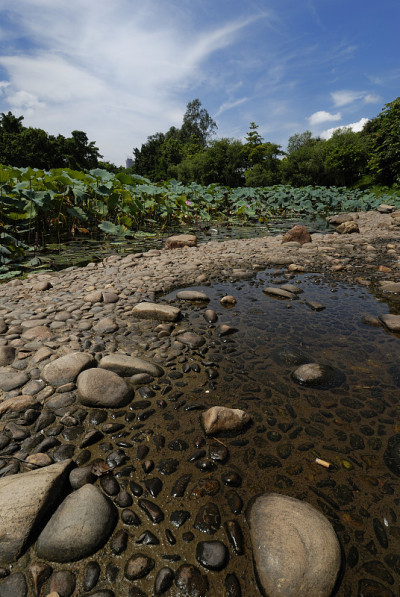 湖的水