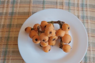 枇杷或枇杷。半熟及全熟枇杷，白色底色