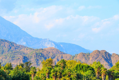 青山