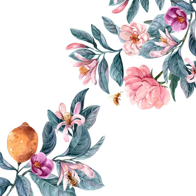 花卉插图