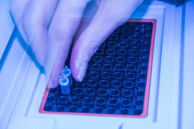 一步PCR