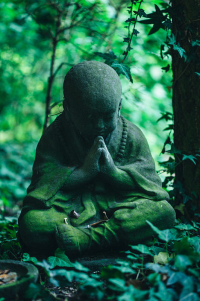 石佛雕像在阴暗杂草丛生的花园里