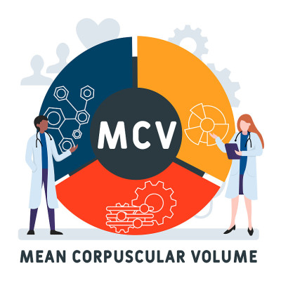 以人为本的平面设计。MCV -平均微粒体积缩写。