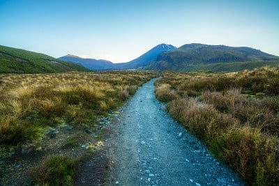 高山交界处，火山，mt。ngaruhoe，日出，新西兰2