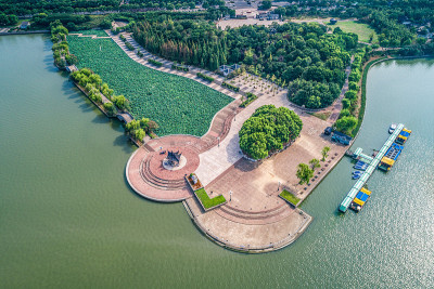 城市中的公园