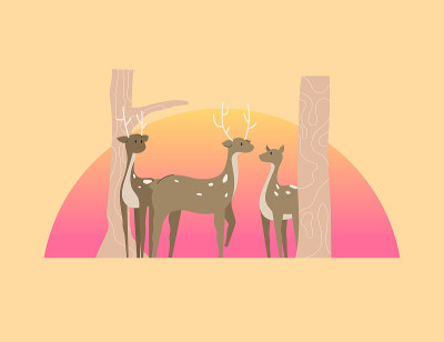 背景是夕阳西下的鹿。