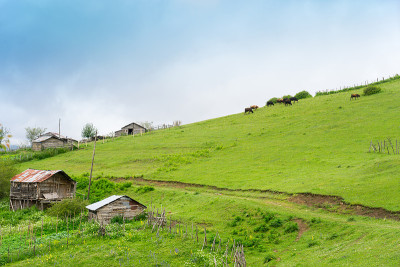雾高原高地与吉雷孙-土耳其