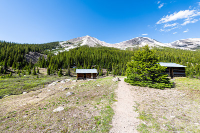 在科罗拉多州的白河国家森林里，有绿色的松树和雪山山峰