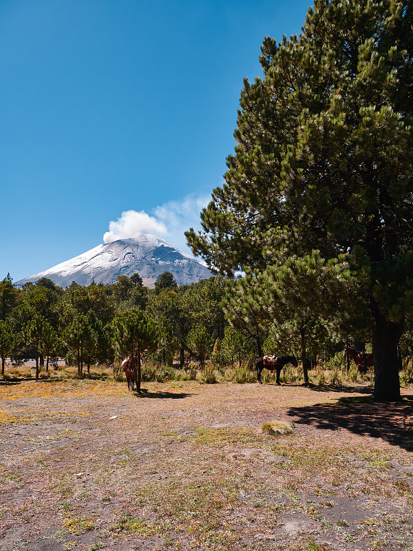 伊萨-波波国家公园和波波卡特佩特火山