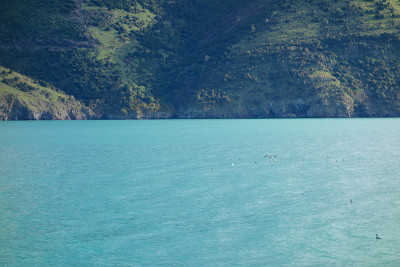 的观点Akaroa