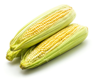 玉米