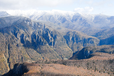 秋天，日本北海道黑田山的松共谷
