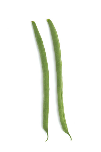 青豆