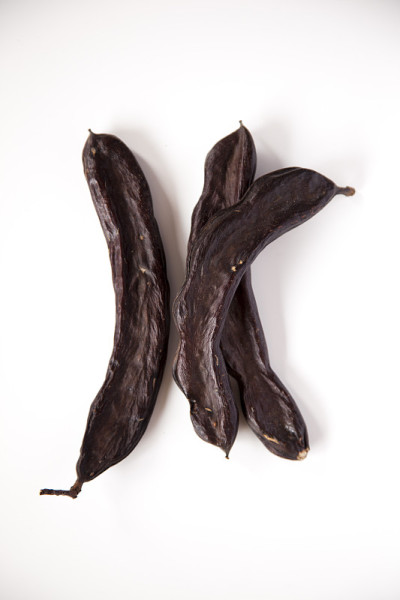 角豆树