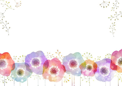 海葵春花