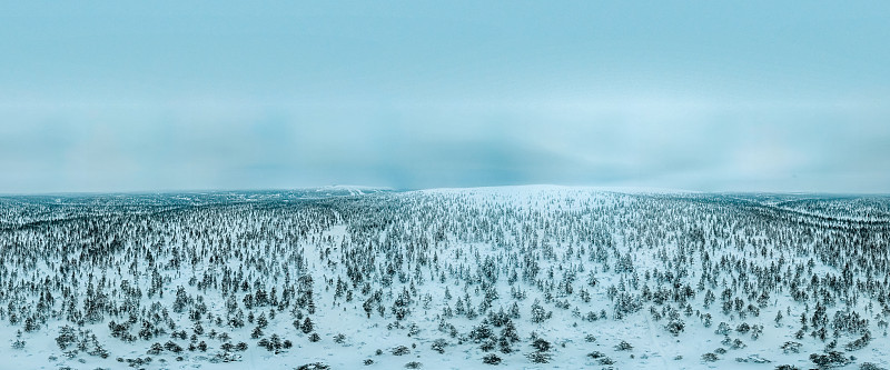 覆盖着积雪的松林鸟瞰图