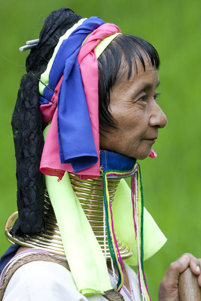 长脖子女人的肖像