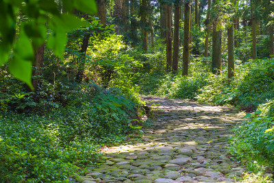 石板景观