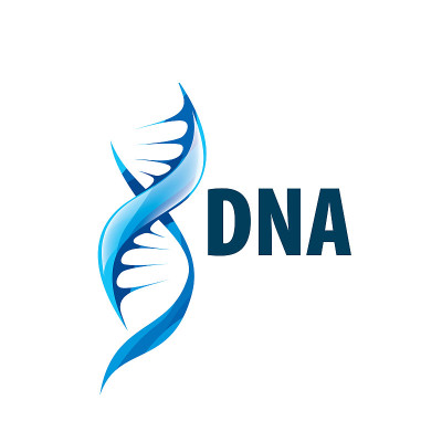 以螺旋DNA的形状签名。矢量插图。