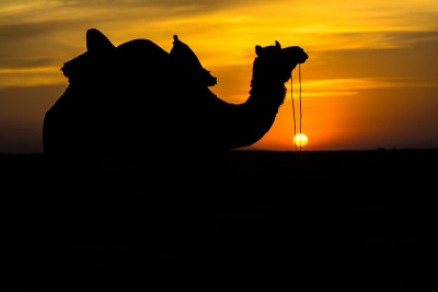 日落在萨姆沙丘的黄金城市Jaisalmer，一个理想的诱惑旅游爱好者