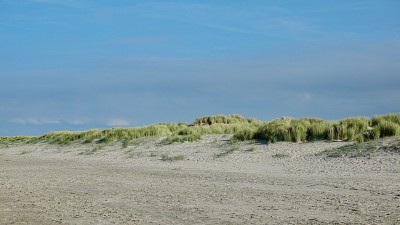海边的沙丘景观