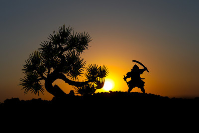 带着剑影的战士是天空忍者。山顶上有武士，夕阳下有树。