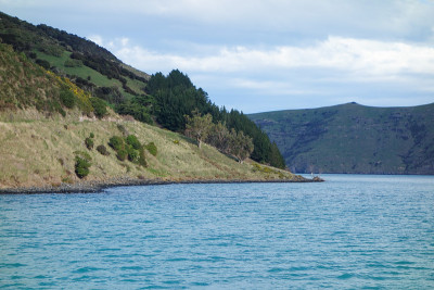 的观点Akaroa