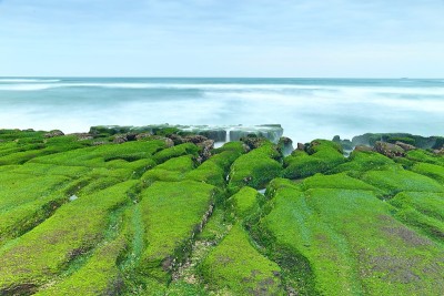 新北市石门区老美绿礁，带季节性藻类的火山岩，